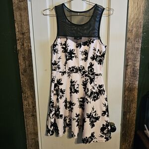 Trixxi Black Mesh Yoke Dress with Pale Pink Lining